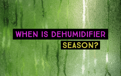 WHEN IS DEHUMIDIFIER SEASON?    